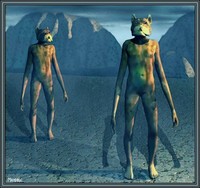 A-Sexual Nomadic Dogladites.....