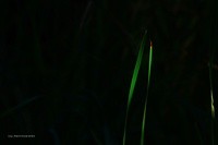 New group for photographers…….Minimalism