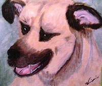 PLEASE LOOK AND CRITIQUE!!!!!!