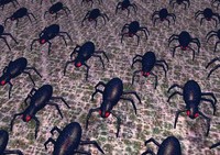 Migration