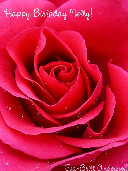 Happy Birthday Nelly Van Nieuwenhuijzen Artwanted Com