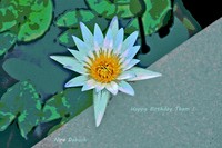 Happy birthday Thom !!