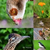 New Artist Group…….Best of the Week