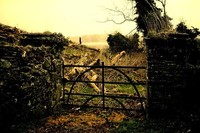 And one more from ireland