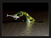 Plesiosaurs 