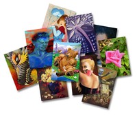 ArtCardsWanted.com Update