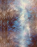 by Sher Richardson