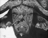 by John Houle