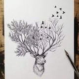 by amir ghanaati
