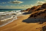 by Mihaela B
