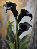 by Mihaela B