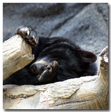 by Melissa McClanahan