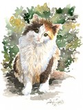 by Gayle Taylor