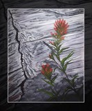 by Reba McDonald