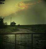 by Aimee Williams