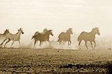 by CowGirlZen Artworks