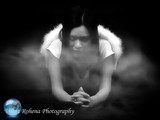 by Vilma Rohena