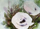 by Nelly van Nieuwenhuijzen