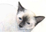 by Rie Yamaguchi