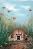 by Loreen Smith