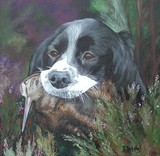 by Belinda Matthews