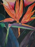 by Cyndy  Rice
