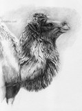 by Svetlana Ledneva-Schukina