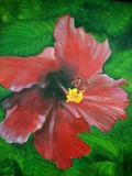 by donald penwell