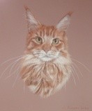 by Joanne Simpson-Connor