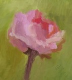 by Edson Jr