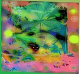 by Barry Huyett