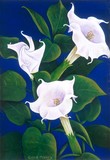 by Edna Mabry