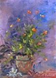 by Lori McNamara