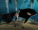 by Tamara Buss