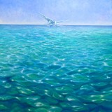 by Gill Bustamante