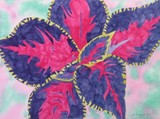 by Sally  Pulford