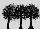 by Jon Marini