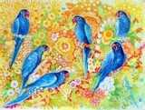 by oxana zaika