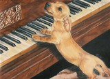 by Barbara Keith