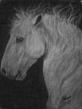 by thom byrd