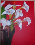 by diana saucedo