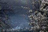 by Xiao zhuhua