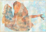 by Zoltan Pal