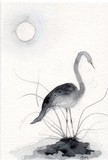 by Doris Blessington