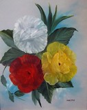 by robert minchin