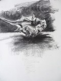 by Anne-Cecile Derrien