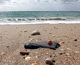 by CHRISTOPHER DONOHOE