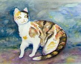 by Jane  Priser