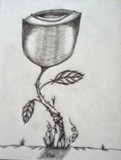 by trudy drake