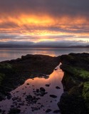 by Ranald Dods